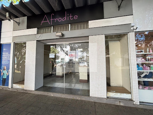 Loja/Salão em Centro  -  Cataguases