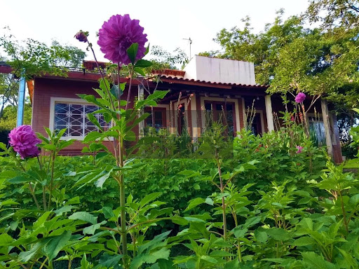 VENDE-SE MARAVILHOSA CHÁCARA ECOLÓGICA EM PIRANGUINHO MG 