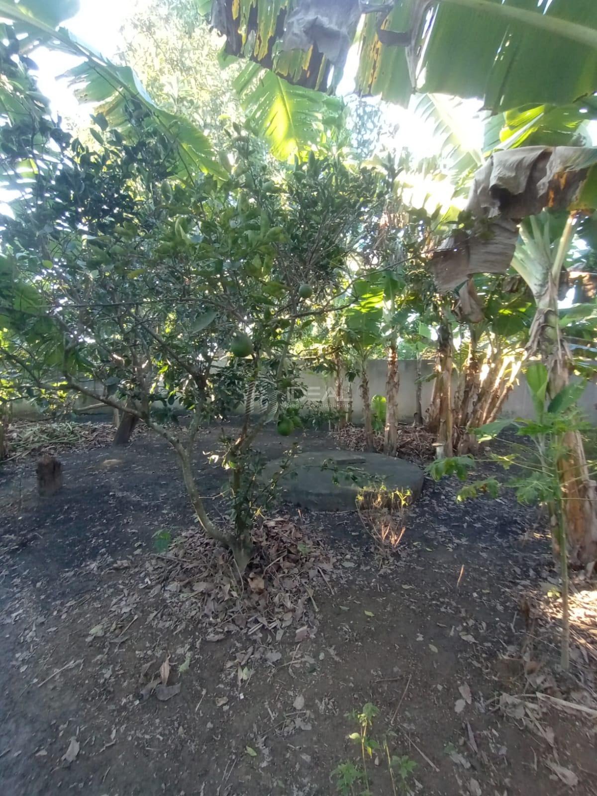 Casa à venda com 3 quartos, 2 banheiros, 4 vagas e 150m² no Tocos, Campos dos Goytacazes (RJ) — foto 8 de 30
