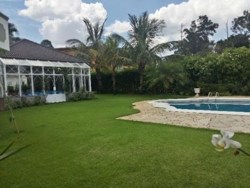 Foto 04