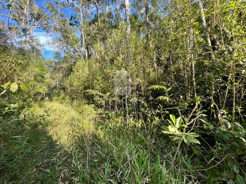Foto 05
