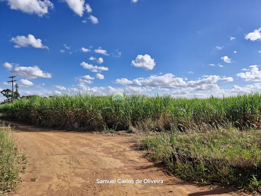 Sítio à Venda em Casa Branca/SP - Imóvel Rural
