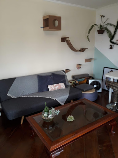 Apartamento em Vila Mariana  -  São Paulo