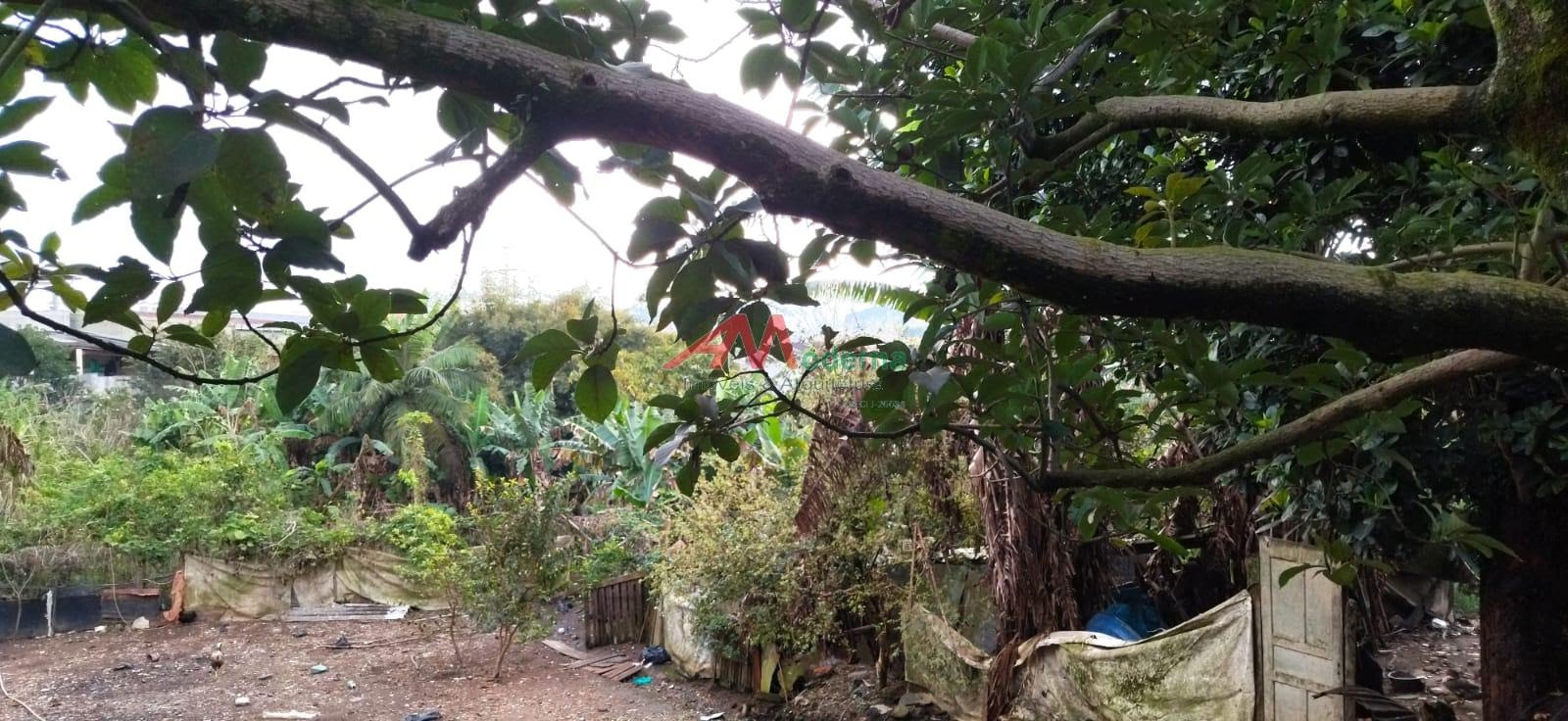 Terreno à venda com 3465m² de terreno no Dos Casa, São Bernardo do Campo (SP) — foto 7 de 8