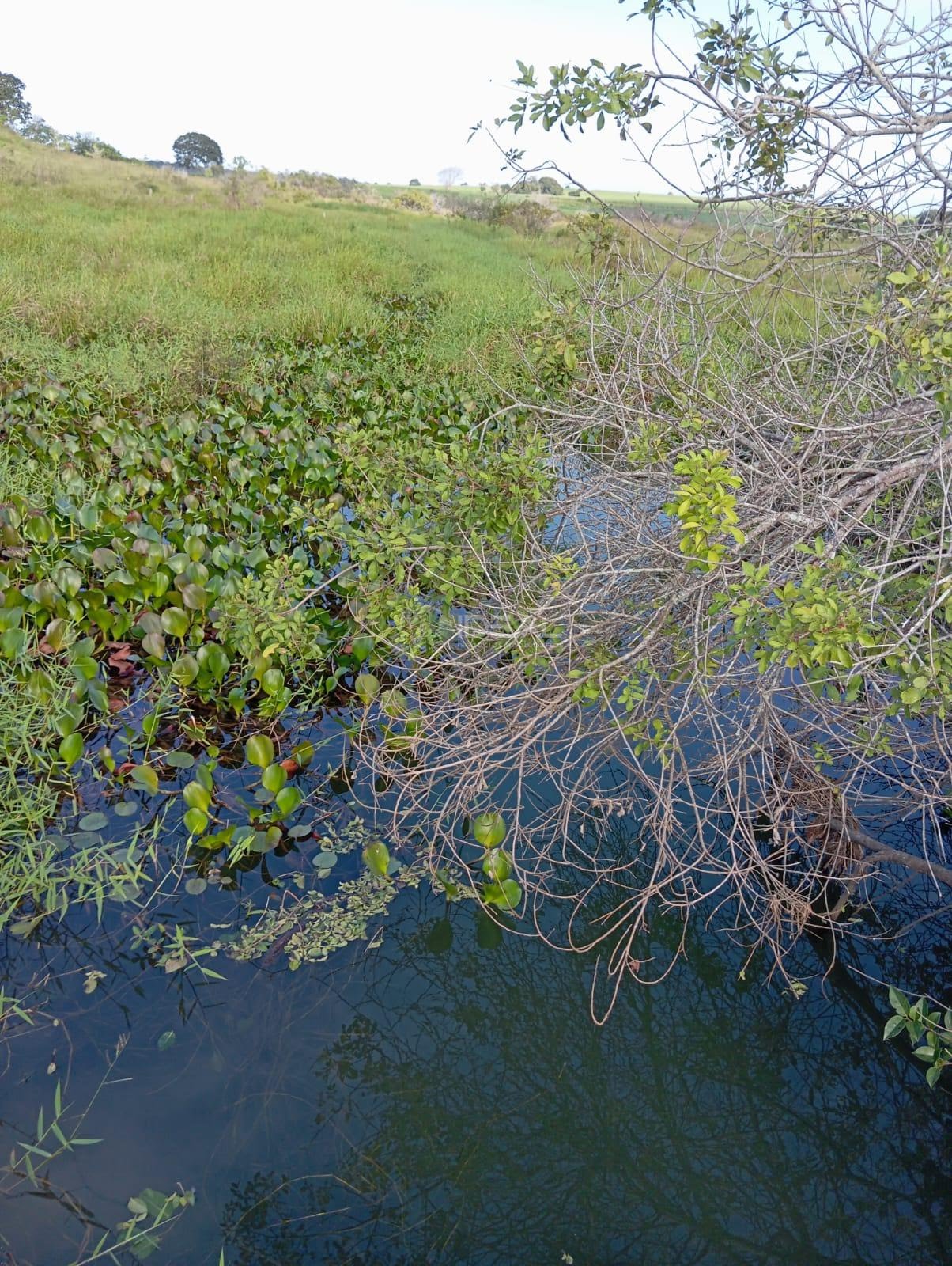 Rural à venda com 1280000m² de terreno no Valão Seco, São Francisco de Itabapoana (RJ) — foto 10 de 30