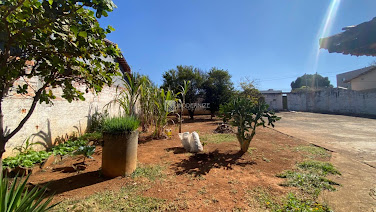 Lote / Terreno em Loteamento Santa Cruz  -  Catalão
