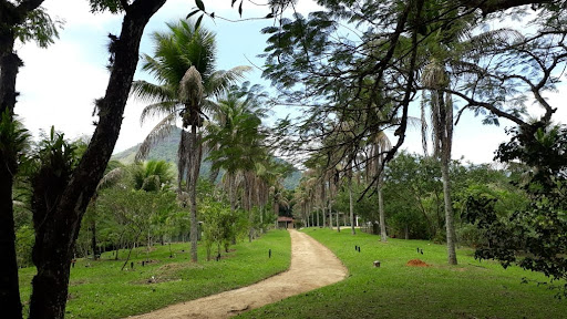 Sítio em Bicuda Pequena  -  Macaé