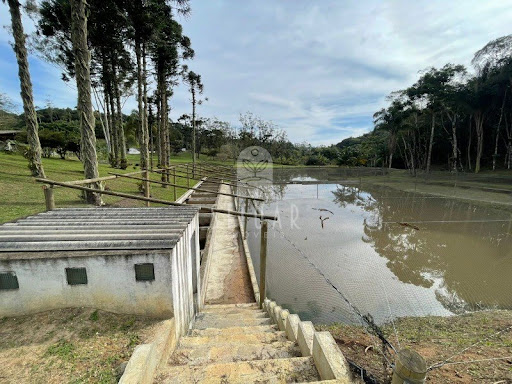 Foto 04