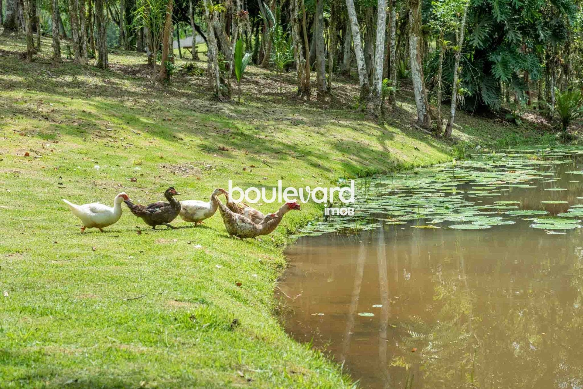 Terreno à venda com 943m² de terreno no Distrito Rio do Meio, Camboriú (SC) — foto 13 de 23