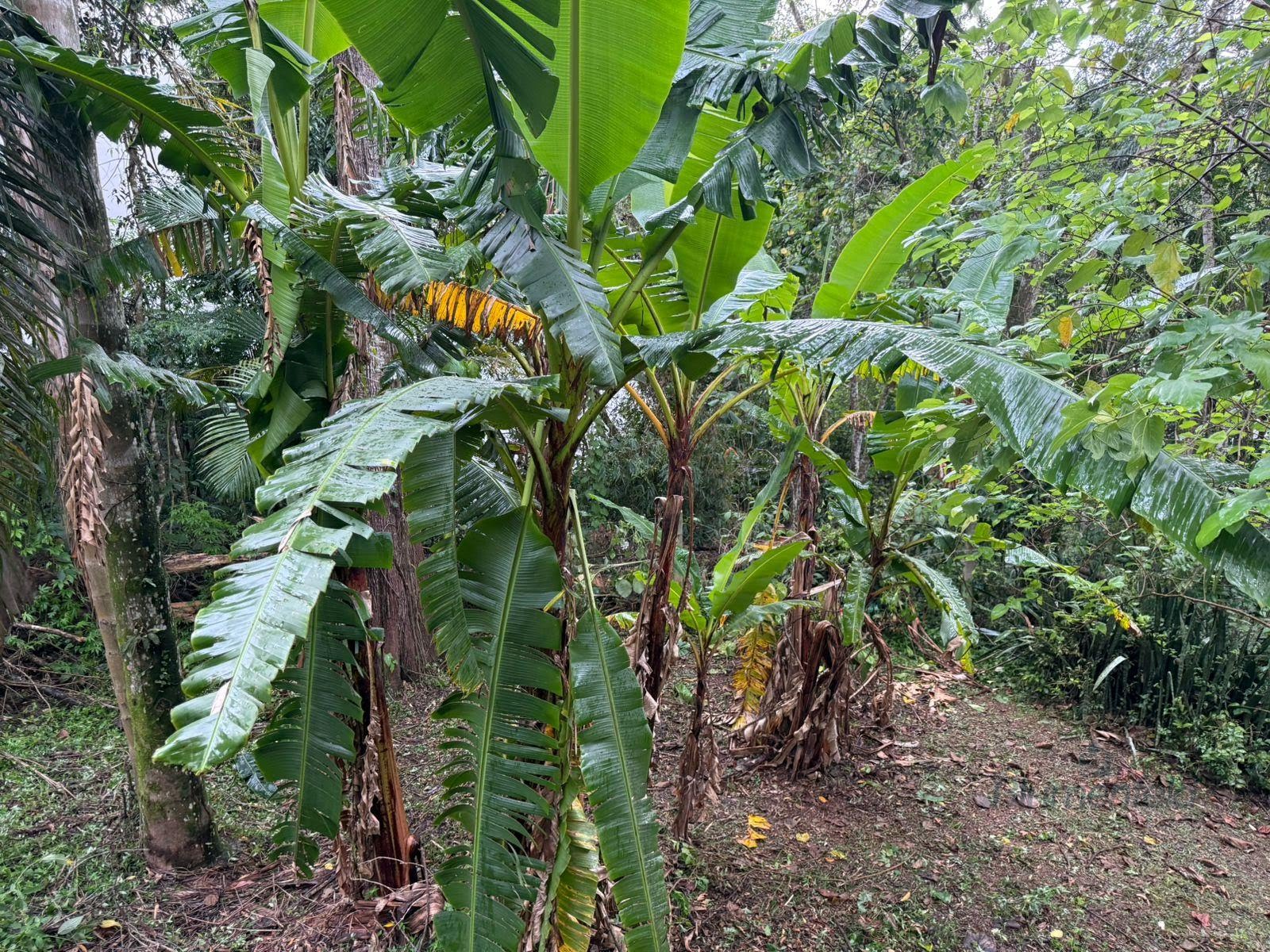 Terreno à venda com 1090m² de terreno no Condominio Arujazinho I II III, Arujá (SP) — foto 7 de 7