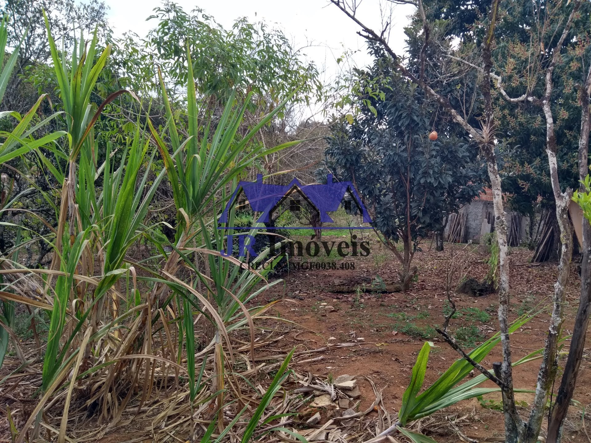 Rural à venda com 2500m² de terreno no Santa Barbara, Piranguinho (MG) — foto 12 de 28