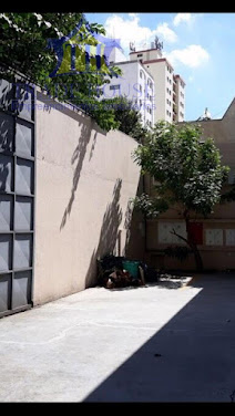 Galpão em Cambuci  -  São Paulo
