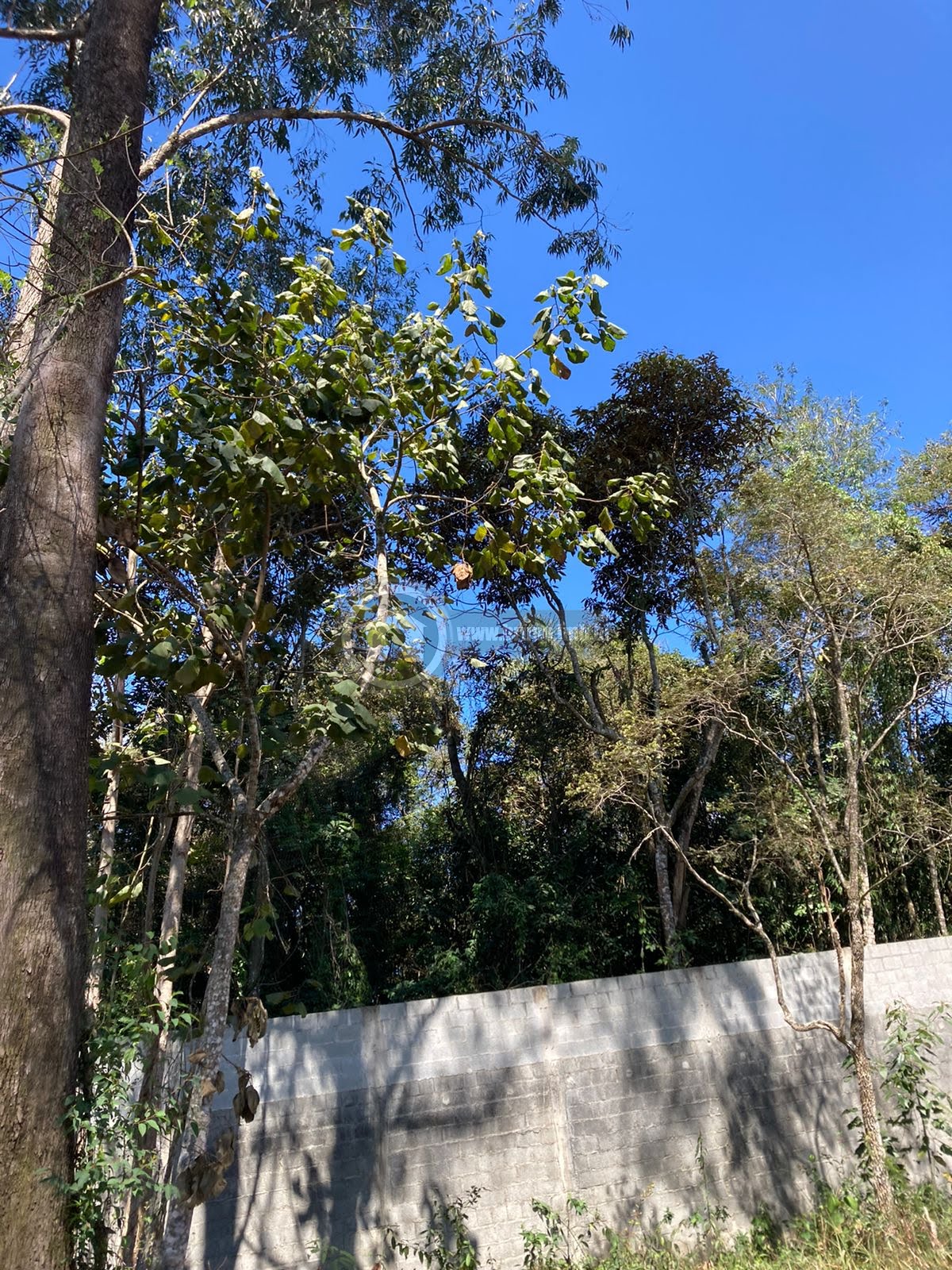 Terreno à venda com 1575m² de terreno no Serra da Cantareira, Mairiporã (SP) — foto 14 de 20