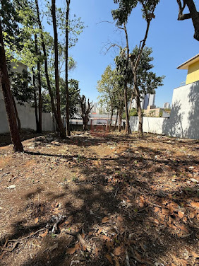 Terreno  à Venda em Chácara Monte Alegre  -  São Paulo