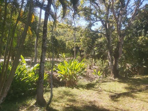 Sítio em Areia Branca  -  Macaé