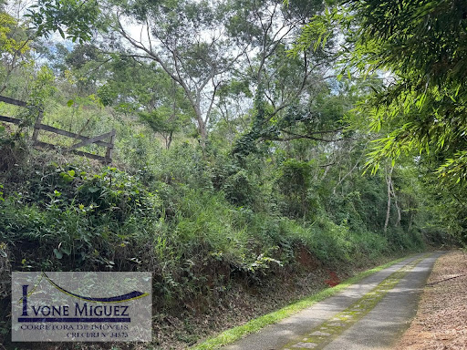 Terreno em Vale Das Videiras  -  Paty do Alferes