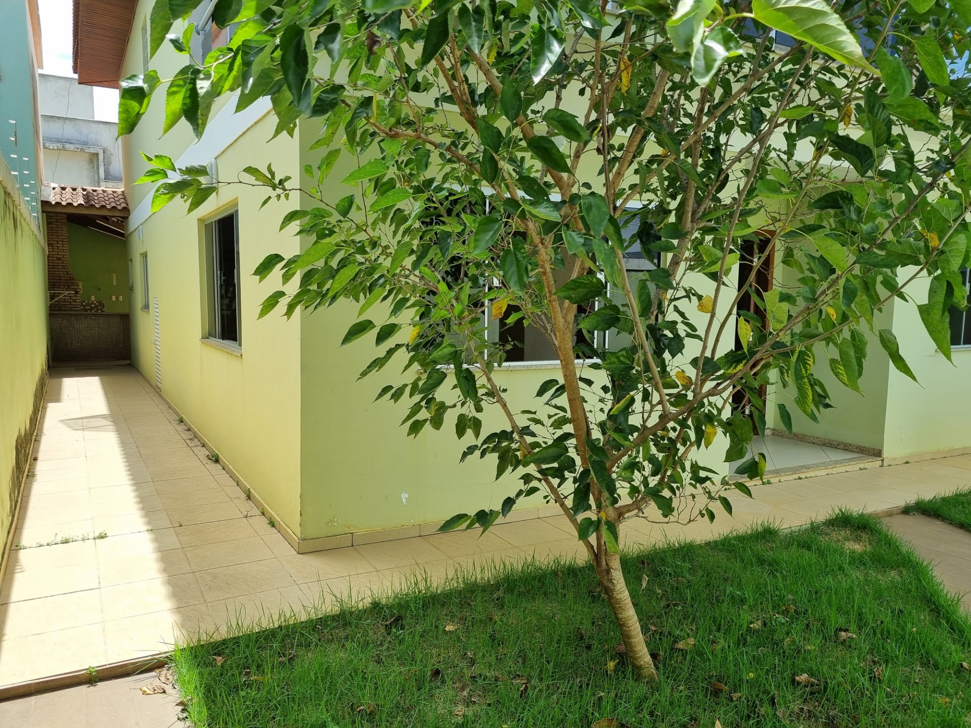 Entrada