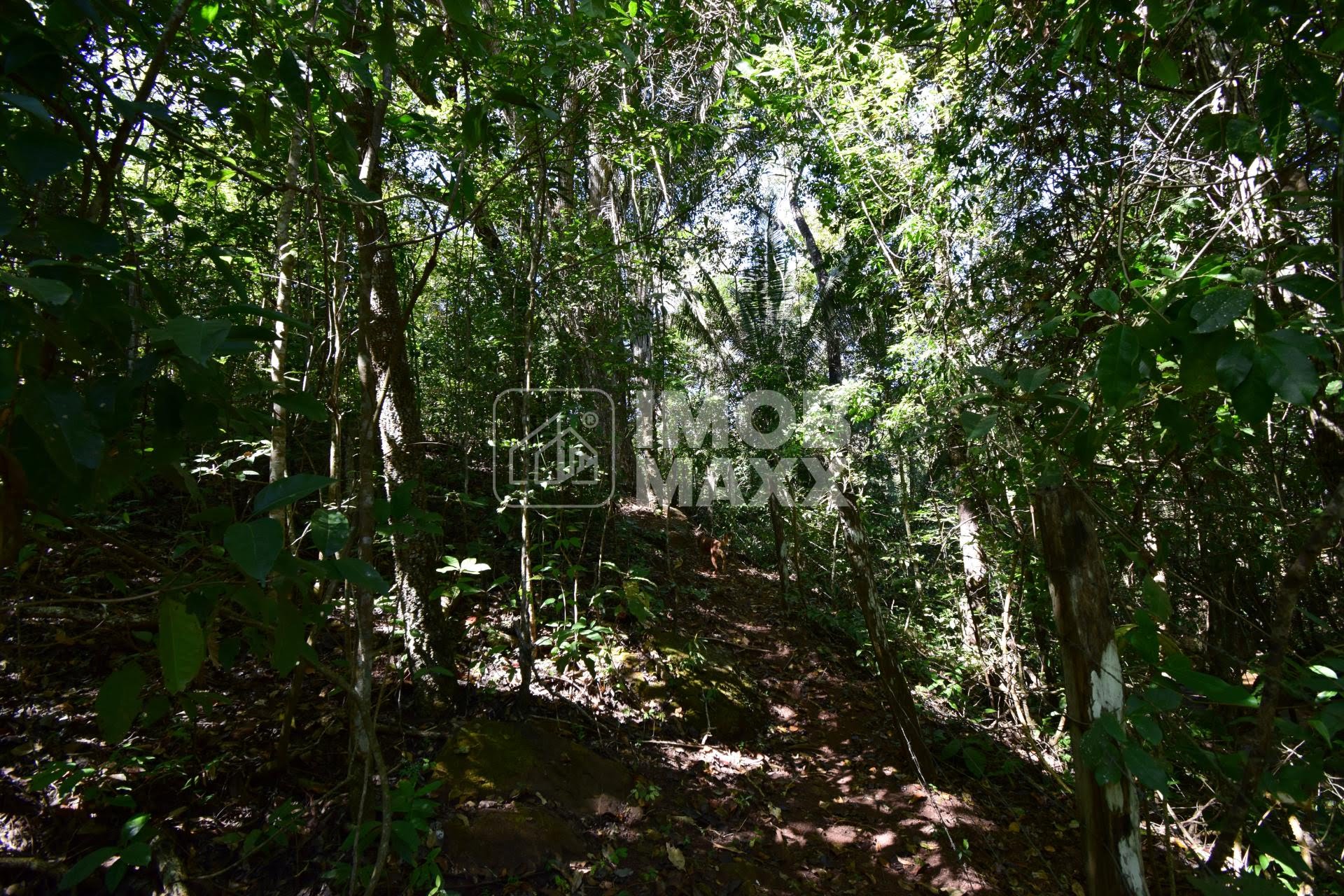 Chácara, 5 quartos, 5 hectares - Foto 40
