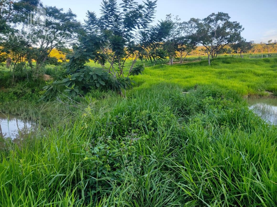 Rural à venda com 200000m² de terreno no Zona Rural de Santana do Pirapama, Santana de Pirapama (MG) — foto 12 de 24