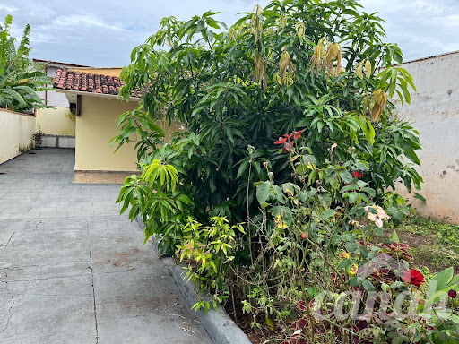 Casa de 3 dormitórios na Vila Tiberio  -  Ribeirão Preto