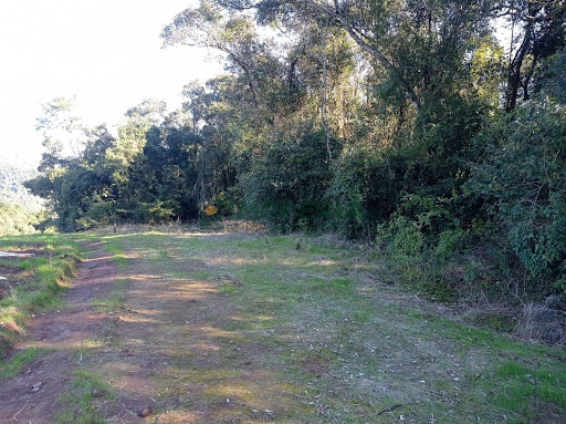 Sítio / Chácara SEM CASA em Garibaldi / RS - Linha São Jorge