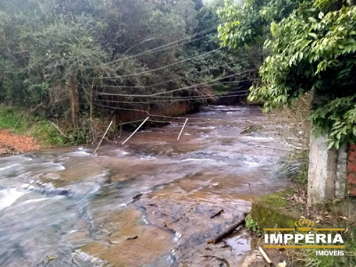 Foto 07