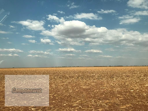 Casa residencial em Primavera do Leste - Primavera do Leste/Mato Grosso | Casa residencial em Primavera do Leste - Primavera do Leste/Mato Grosso | Imobiliária Camponaweb em Santa Cruz do Sul