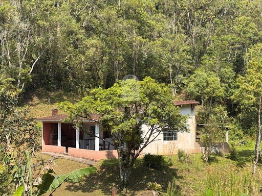 Foto 01