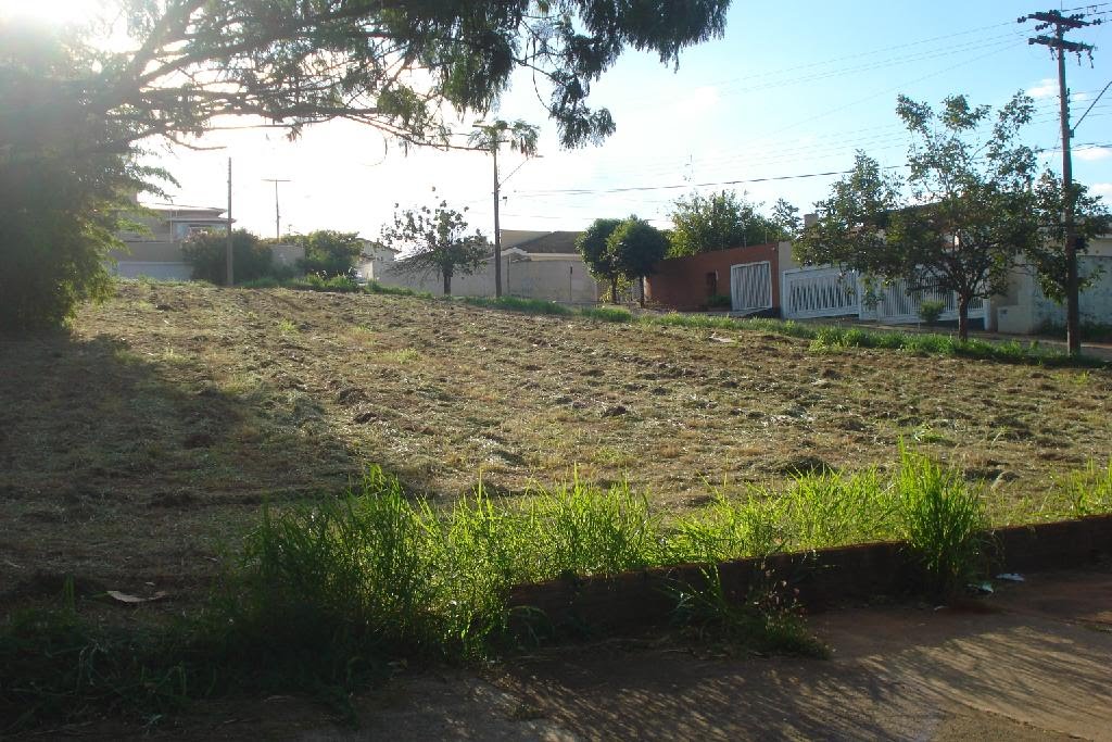 Vista da Avenida Juscelino K. Oliveira