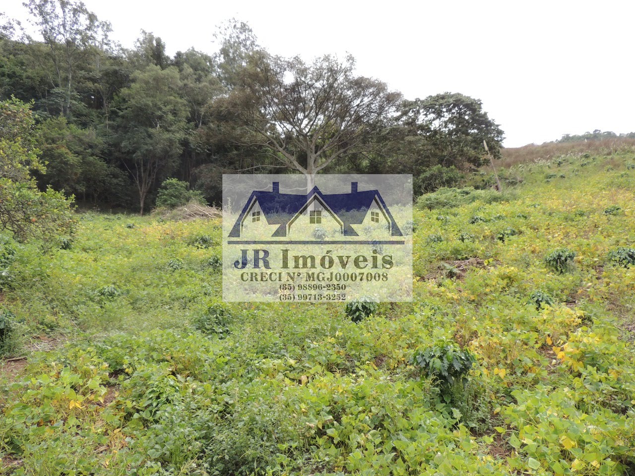 Terreno à venda com 21237m² de terreno no Pinheirinho, Itajubá (MG) — foto 5 de 30