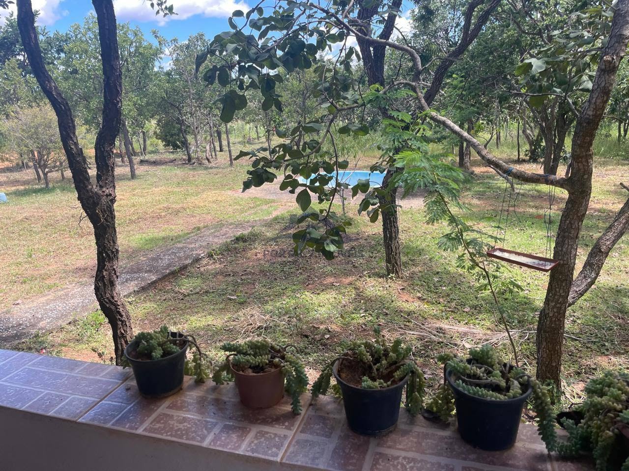 Rural à venda com 5300m² de terreno no Fazendinha Pai José, Araçaí (MG) — foto 11 de 14