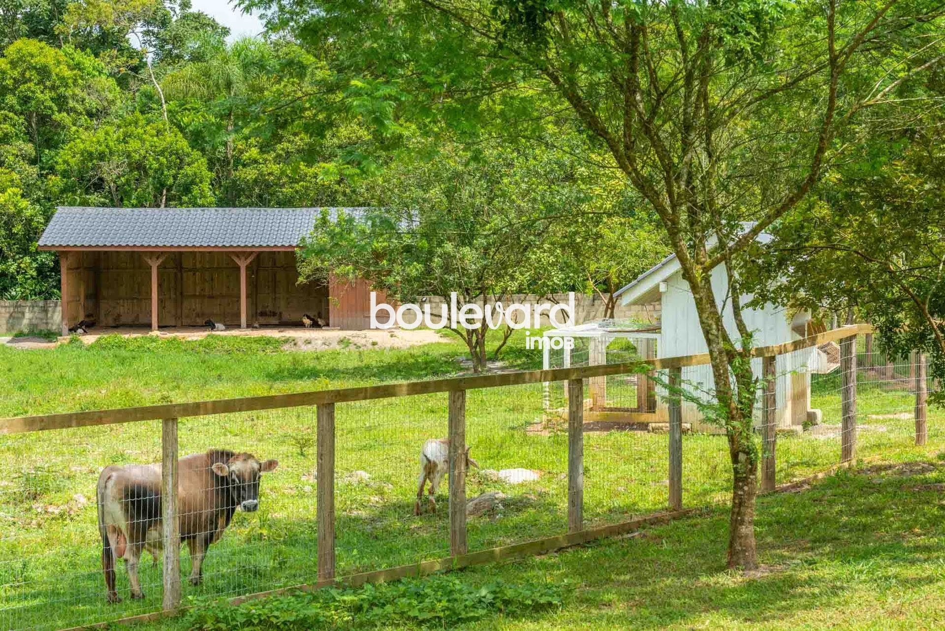 Terreno à venda com 943m² de terreno no Distrito Rio do Meio, Camboriú (SC) — foto 17 de 23