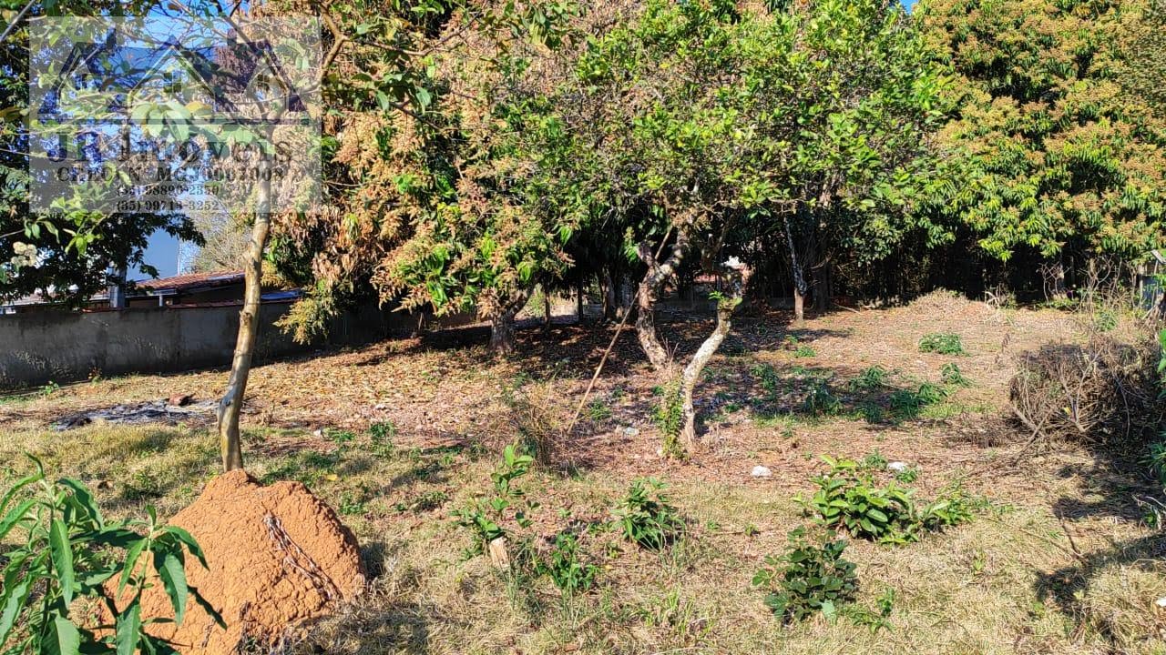 Casa à venda com 4 quartos, 2 banheiros, 10 vagas e 1004m² no Santa Isabel, Piranguinho (MG) — foto 14 de 30