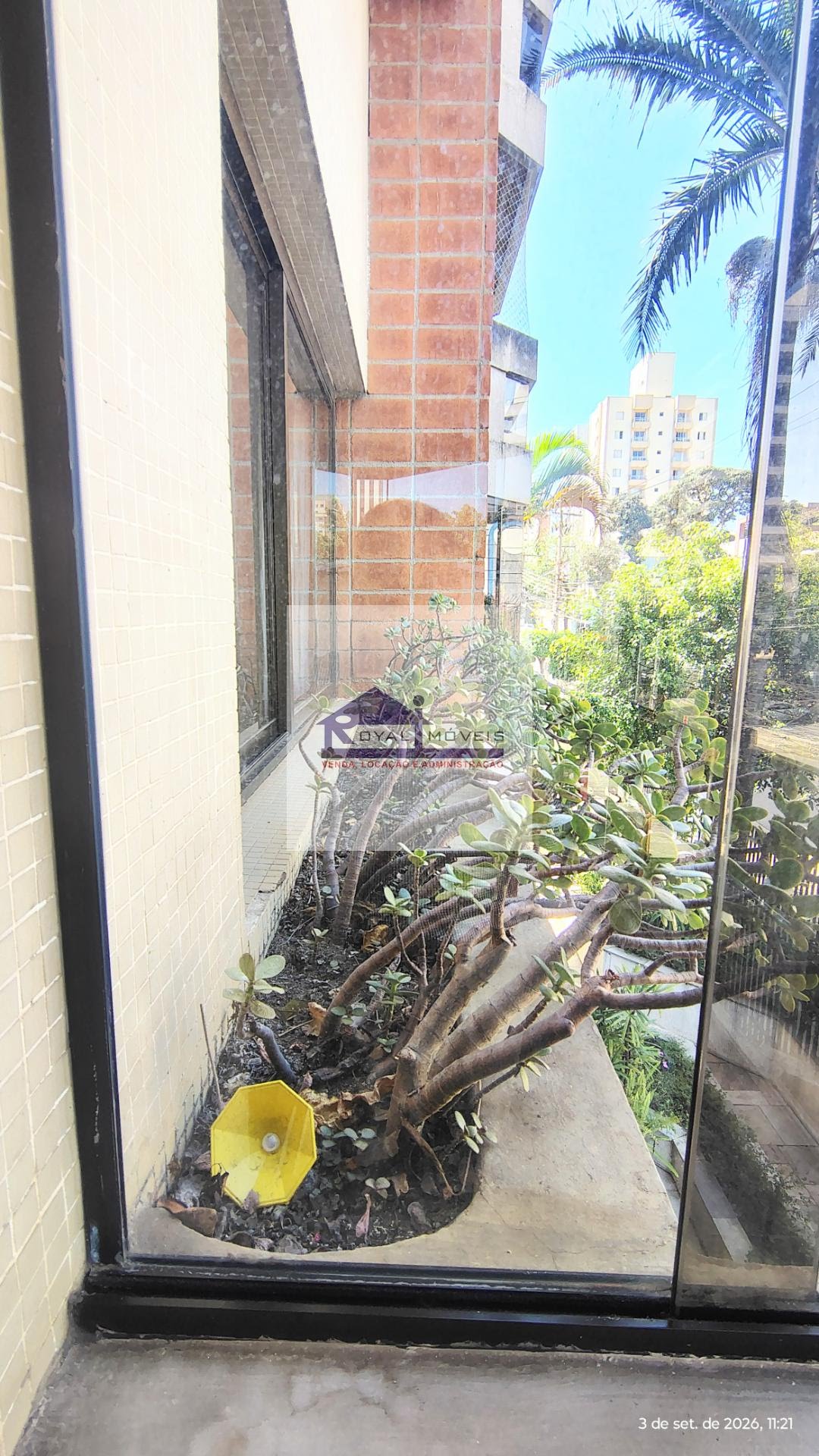 Apartamento à venda com 3 quartos, 1 suíte, 2 vagas e 120m² no Vila Clementino, São Paulo (SP) — foto 8 de 30