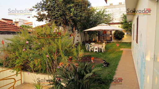 Jardim