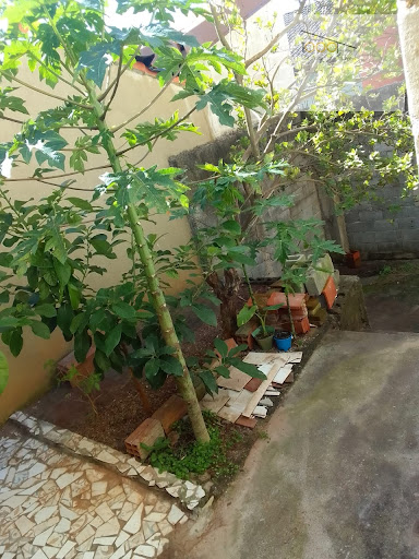 Casa Sobrado em Cesar de Souza  -  Mogi das Cruzes