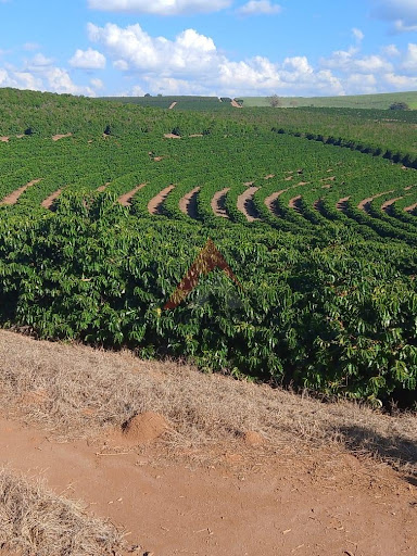 Fazenda em AREADO  -  Alfenas
