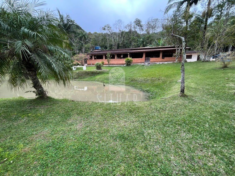 Foto 01
