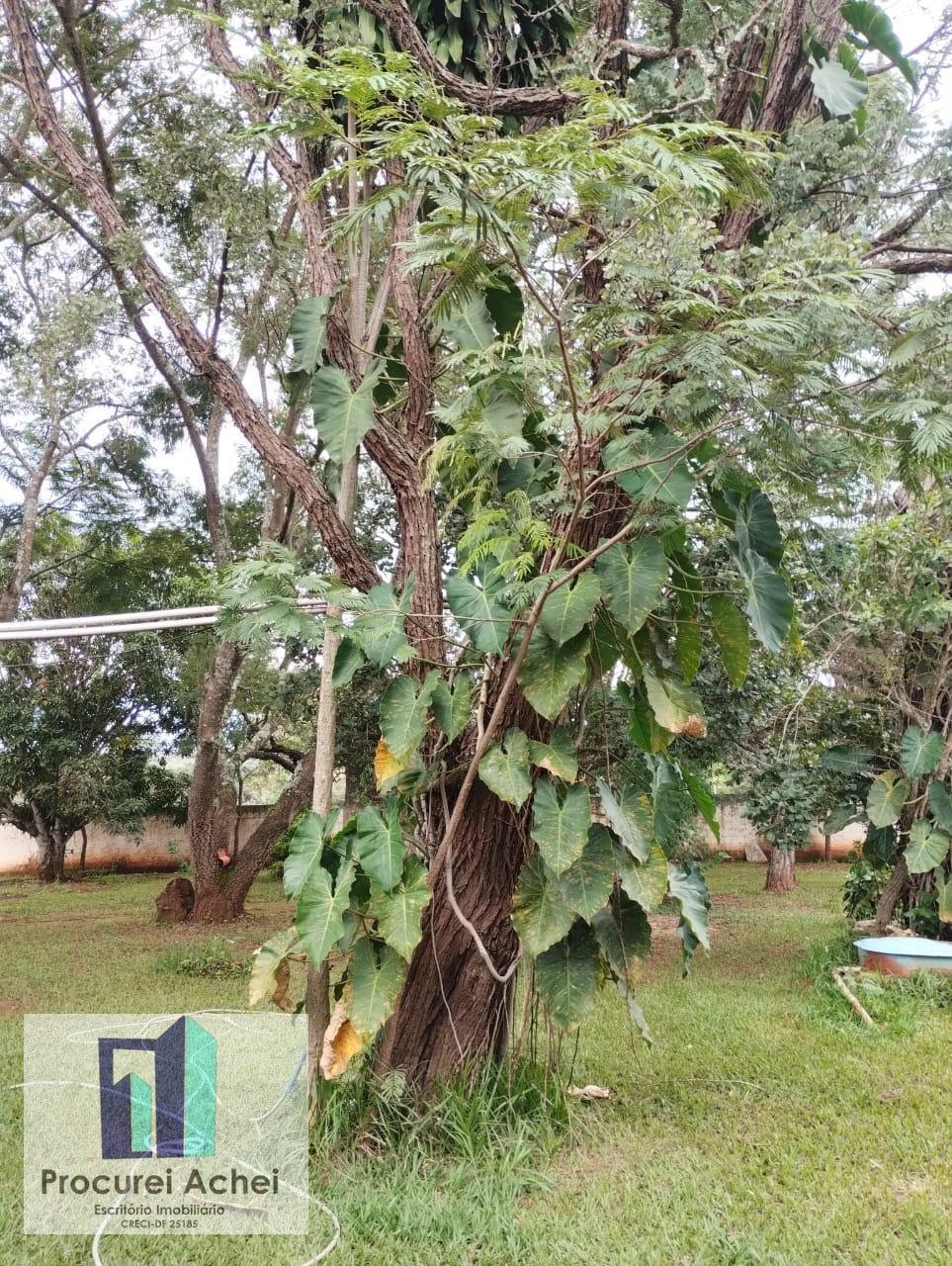 Rural à venda com 12000m² de terreno no Lagoa Formosa Go, Planaltina (GO) — foto 7 de 27