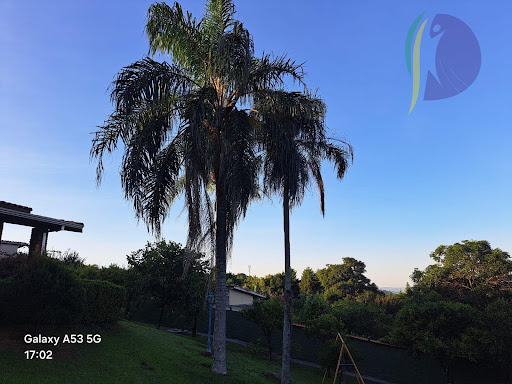 Chácara em Parque dos Cafezais 1  -  Itupeva
