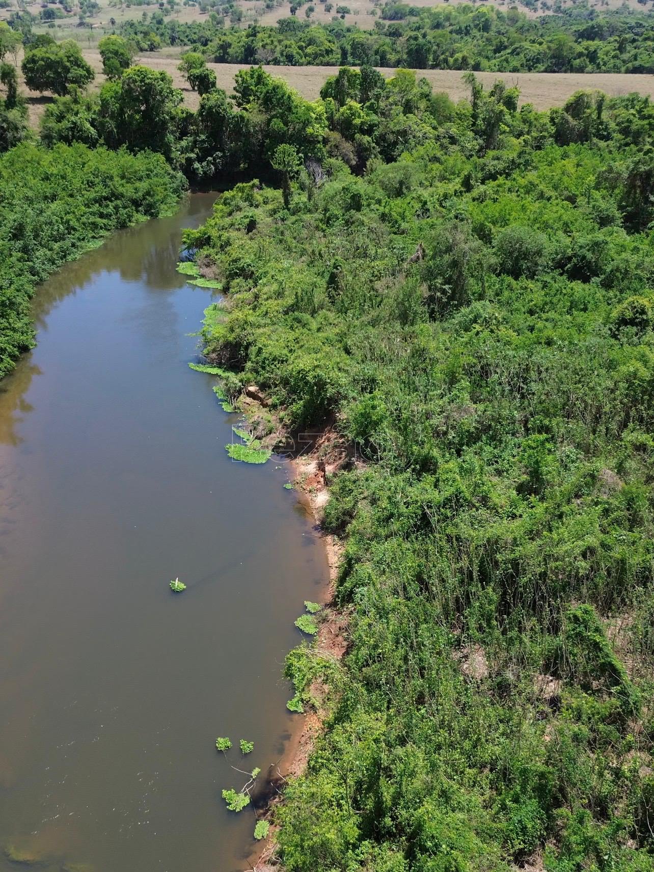 Rural à venda com 8215m² de terreno no Zona Rural de Heitoraí, Heitoraí (GO) — foto 11 de 18