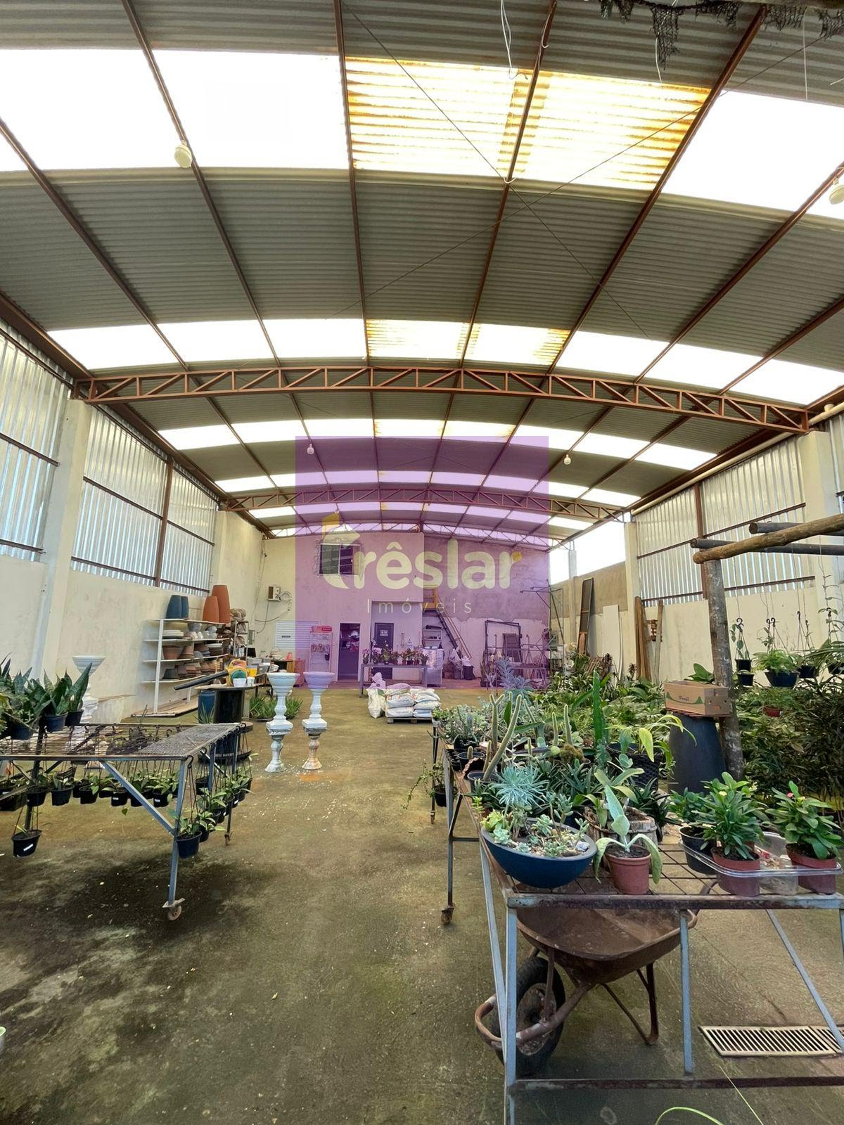 Comercial à venda com 1 banheiro e 228m² no Nova Três Lagoas, Três Lagoas (MS) — foto 6 de 6