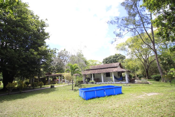 Sitio em igarassu com mata preservada para venda