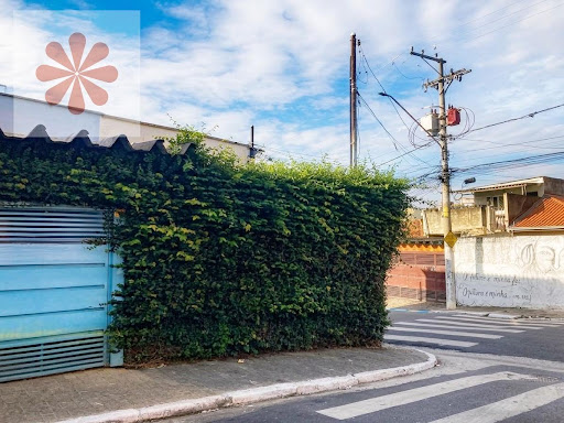 Casa Térrea em Jardim Ponte Rasa  -  São Paulo
