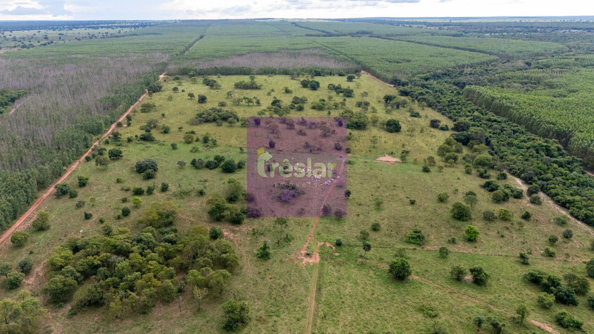 Rural à venda com 710000m² de terreno no Fazenda, Três Lagoas (MS) — foto 2 de 7