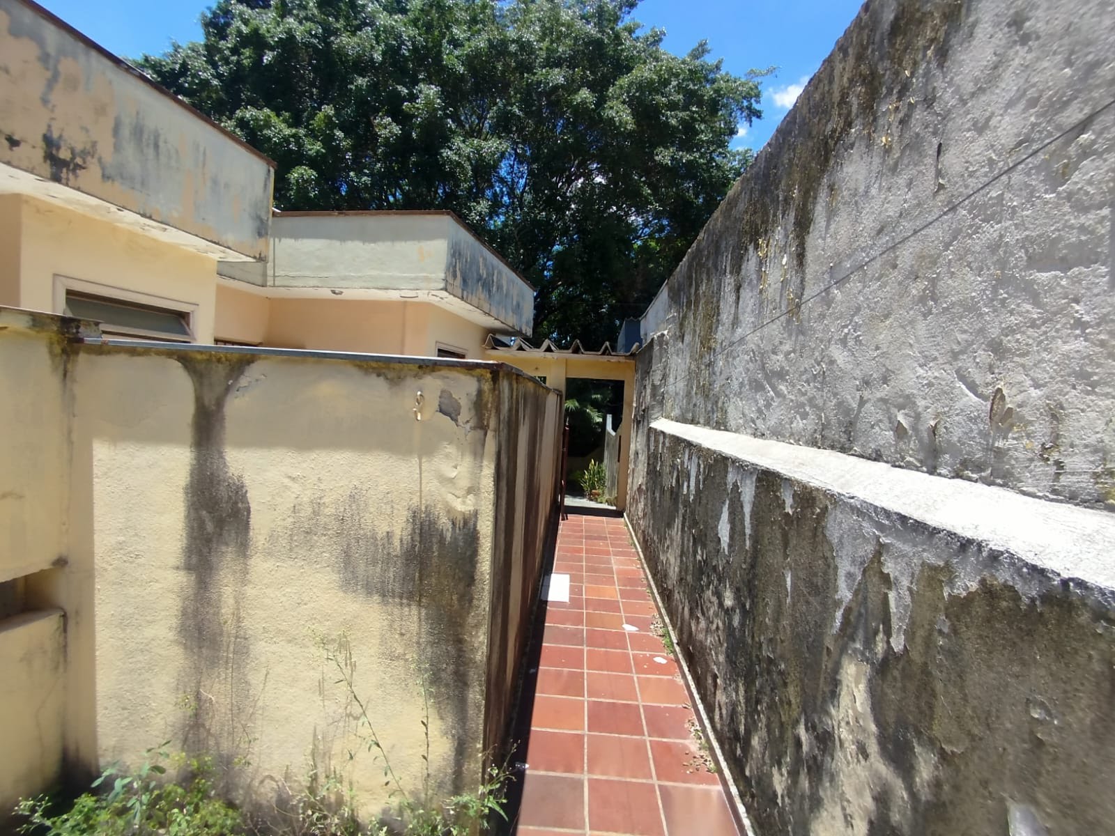 Apartamento à venda com 3 quartos, 2 banheiros, 2 vagas e 315m² no Jardim Regina, São Paulo (SP) — foto 20 de 30