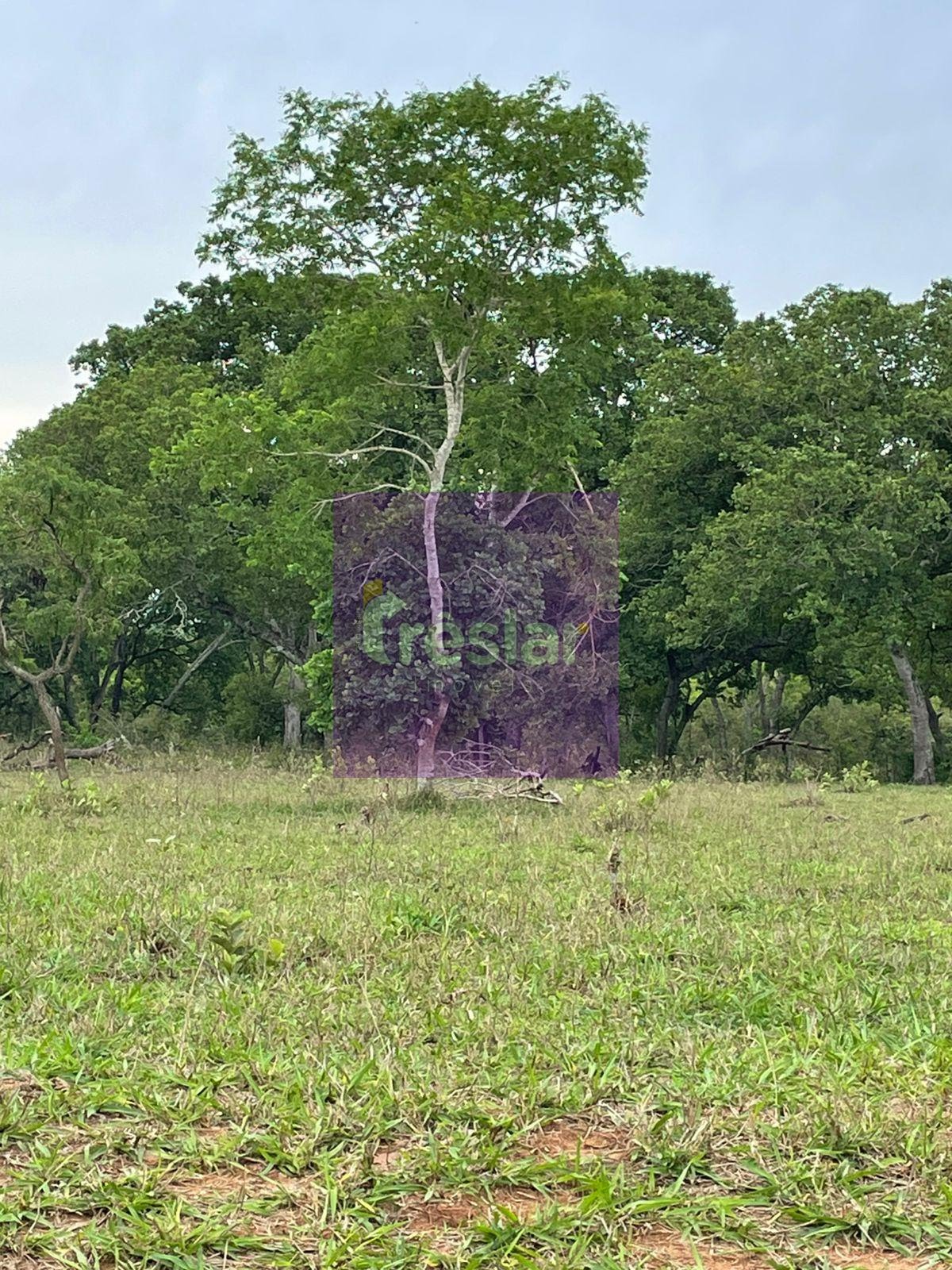 Rural à venda no Fazenda, Três Lagoas (MS) — foto 15 de 24