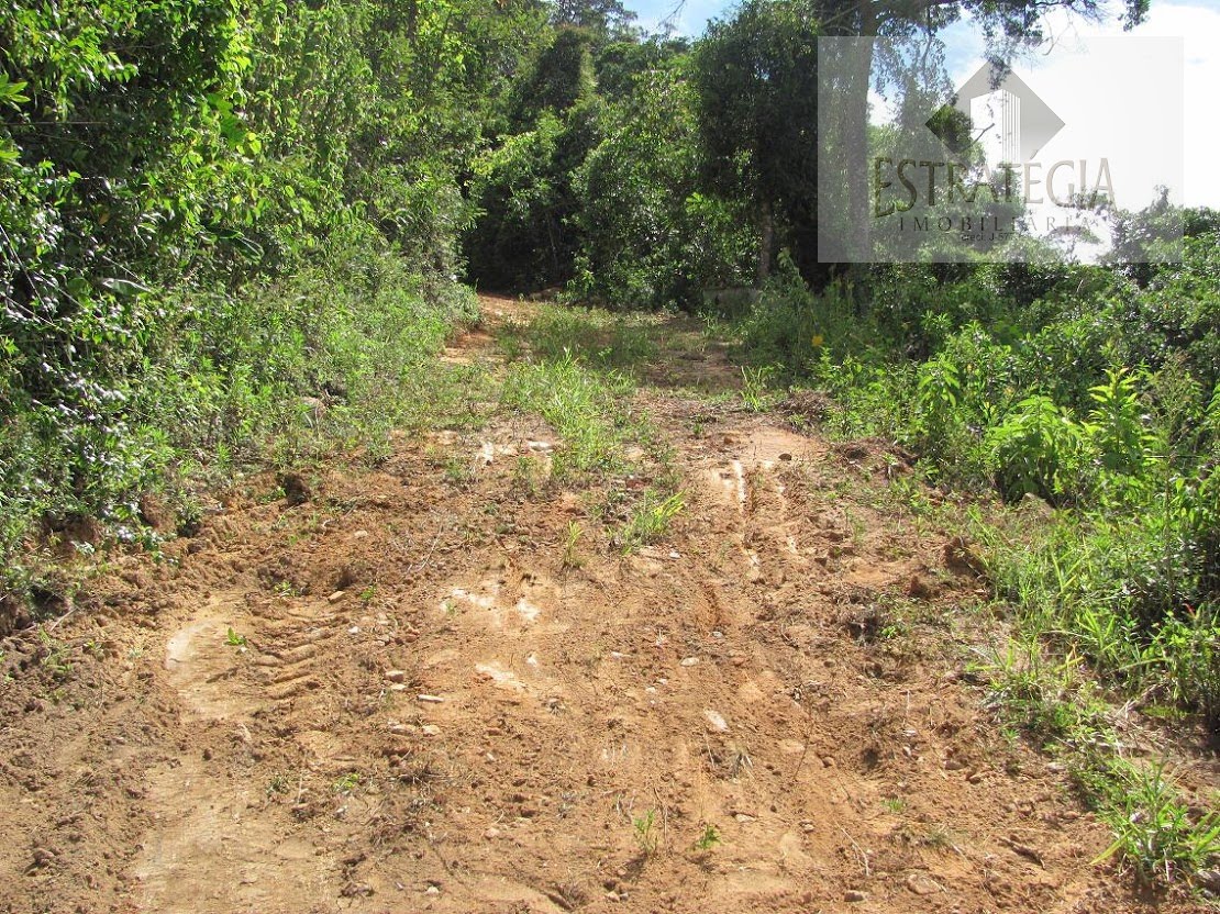 Terreno à venda com 74550m² de terreno no Retiro, Petrópolis (RJ) — foto 6 de 6