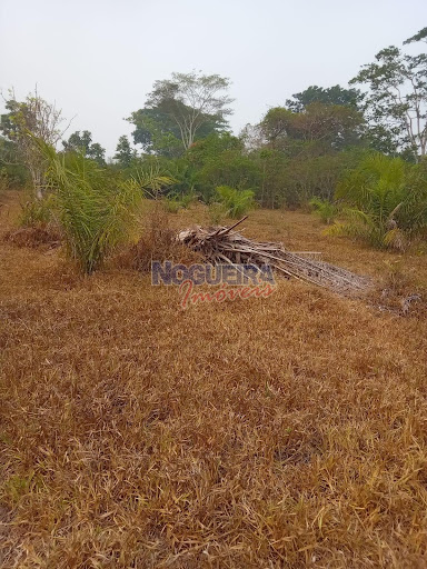 Chácara em gleba 24  -  Urupá