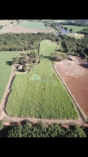 Sítio à Venda em Casa Branca/SP - Imóvel Rural